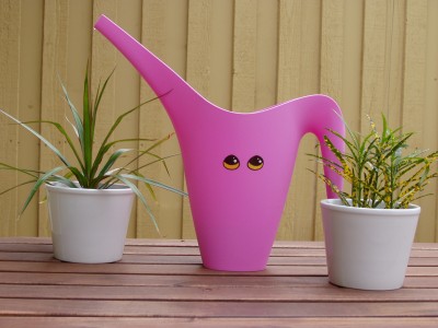 altered pitcher