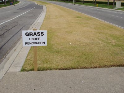 Dry grass... but the sign says it's "under renovation."