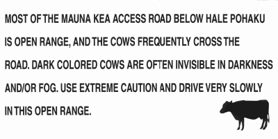 Why invisible cows? It's dark and foggy.