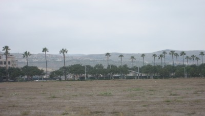 Same lot, from a different angle, all dry brown stubble. The hills in the background, a bit fuzzy, are also light brown.
