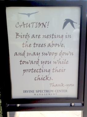 Swoop Warning CAUTION! Birds are nresting in the trees above, and may swoop down toward you while protecting their chicks. Thank-you. Irvine Spectrum Center Management.