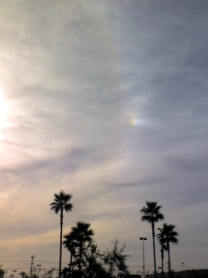 Sundog above the District