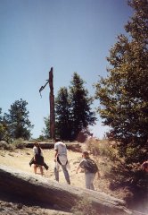 Hike in the Angeles National Forest